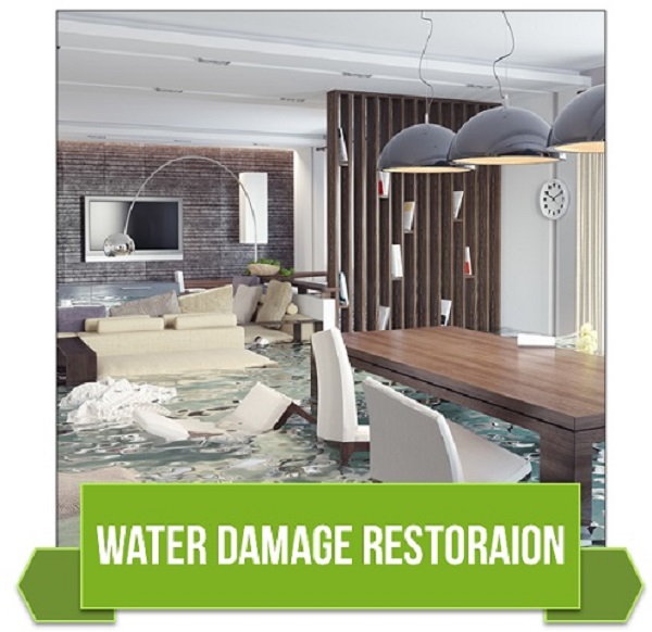 Water Flood Cleanup Service for Restoration in Camptonville, CA